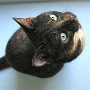 Meet your Posher, Leslie